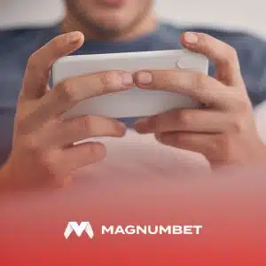 verificare bilet magnum